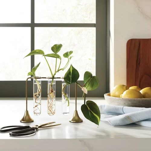 The Brass Propagation Stand, view 3 — PUNCH LIST