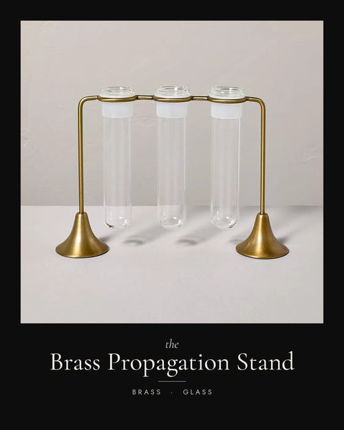 The Brass Propagation Stand — PUNCH LIST